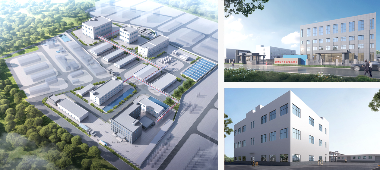 Chizhou Dongsheng Pharmaceutical Co., Ltd.